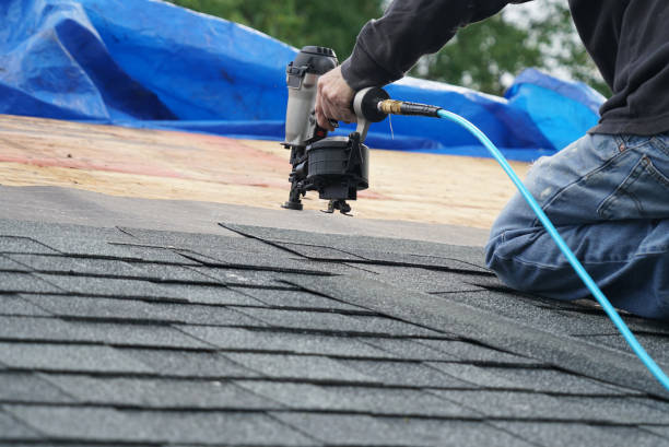 Roof Moss and Algae Removal in Bowling Green, OH